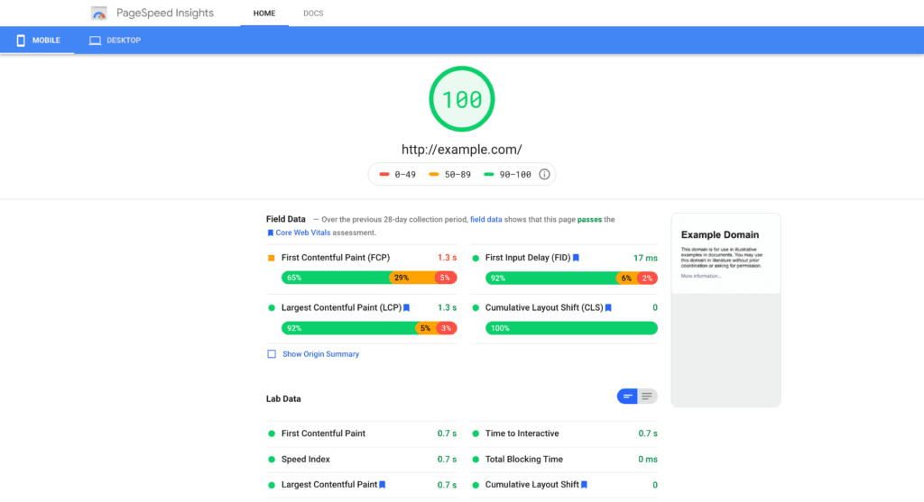 Google PageSpeed Insights results.