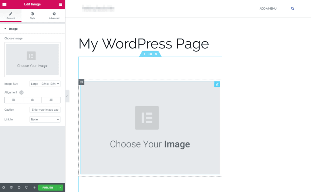 The Elementor page builder plugin.