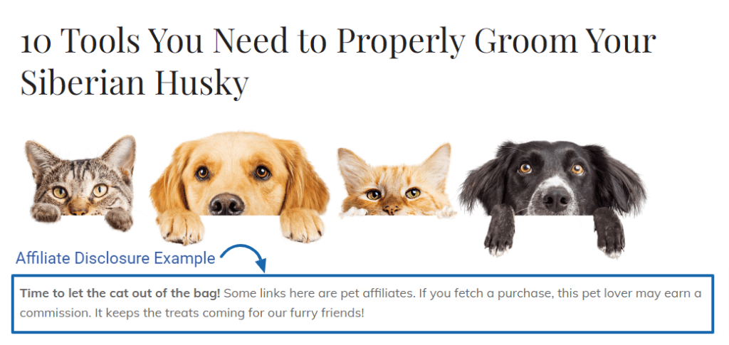 An affiliate disclosure example