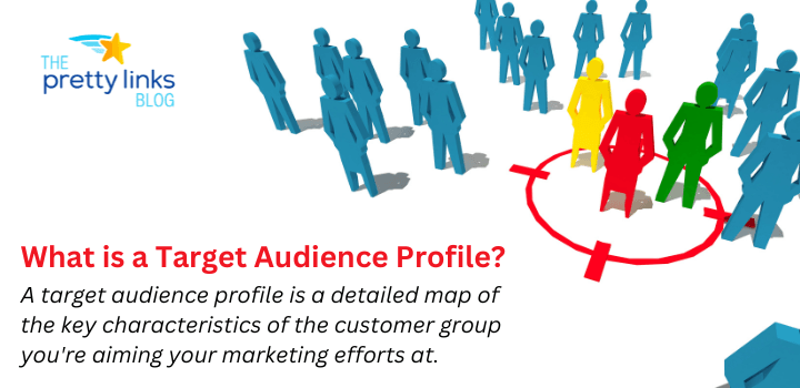 What is a target audience profile?