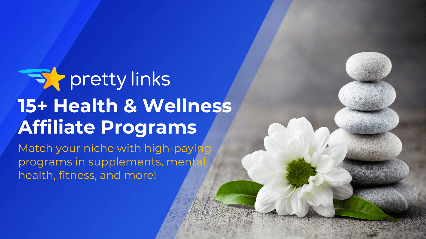 15+ Top Paying Health and Wellness Affiliate Programs